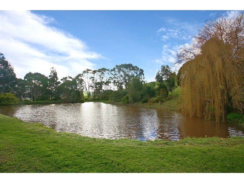91 Squires Road, Hindmarsh Valley SA 5211