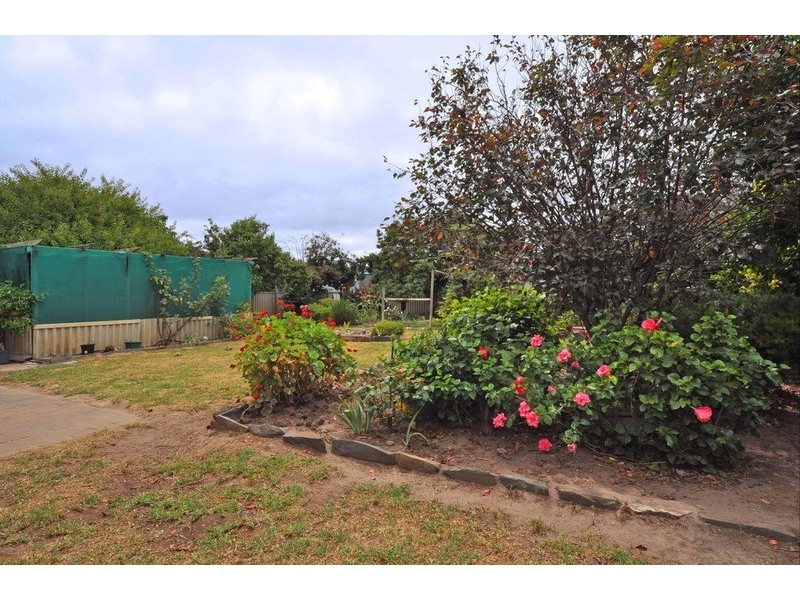 14 Coleman Avenue, Mccracken SA 5211