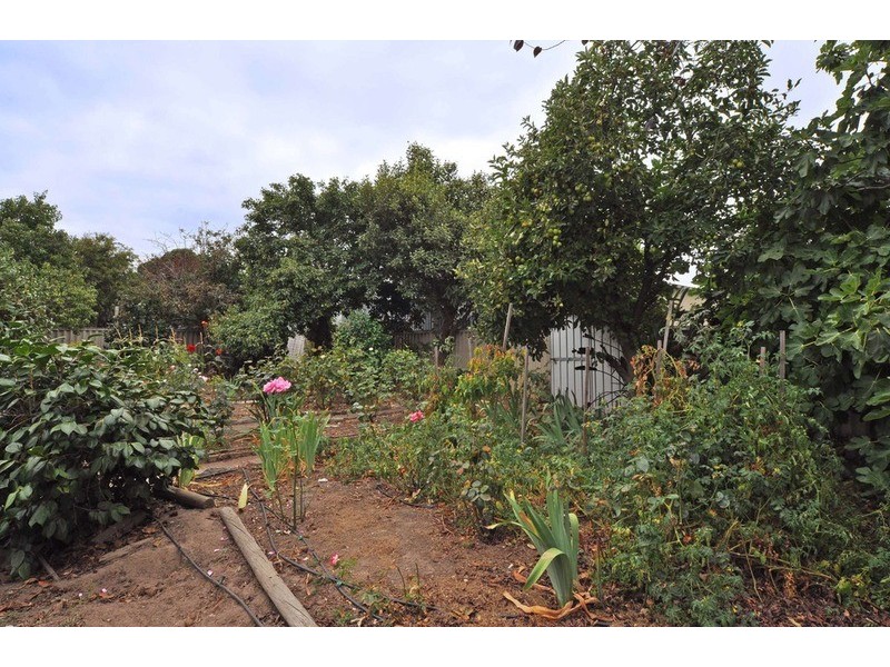 14 Coleman Avenue, Mccracken SA 5211