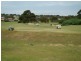 20 Coromandel Drive, Mccracken SA 5211