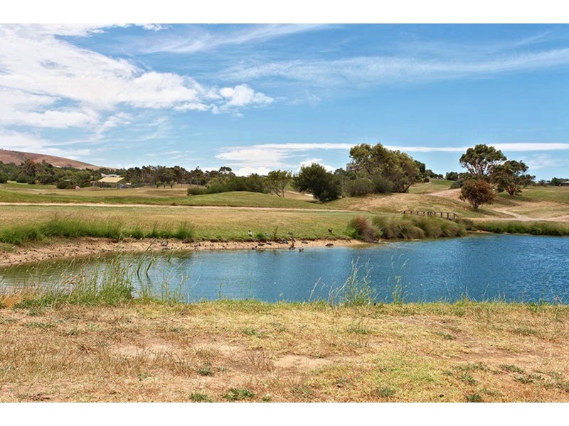 80 Cudmore  Road, Mccracken SA 5211