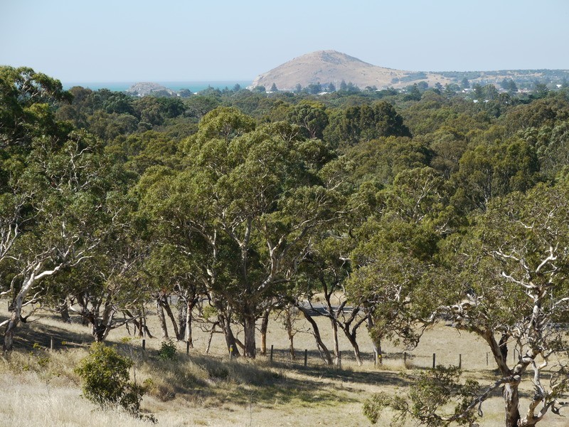 Lot 309 & 310 Henderson  Road, Victor Harbor SA 5211