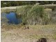 Lot 309 & 310 Henderson  Road, Victor Harbor SA 5211