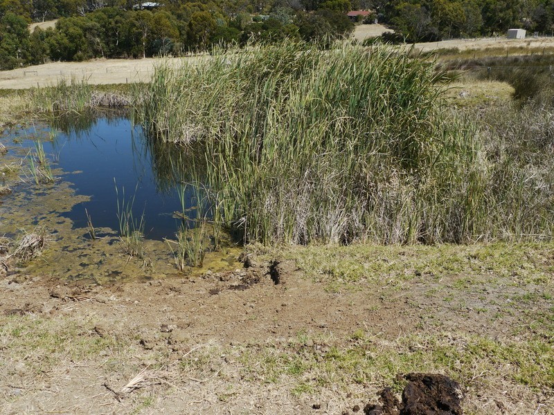 Lot 309 & 310 Henderson  Road, Victor Harbor SA 5211