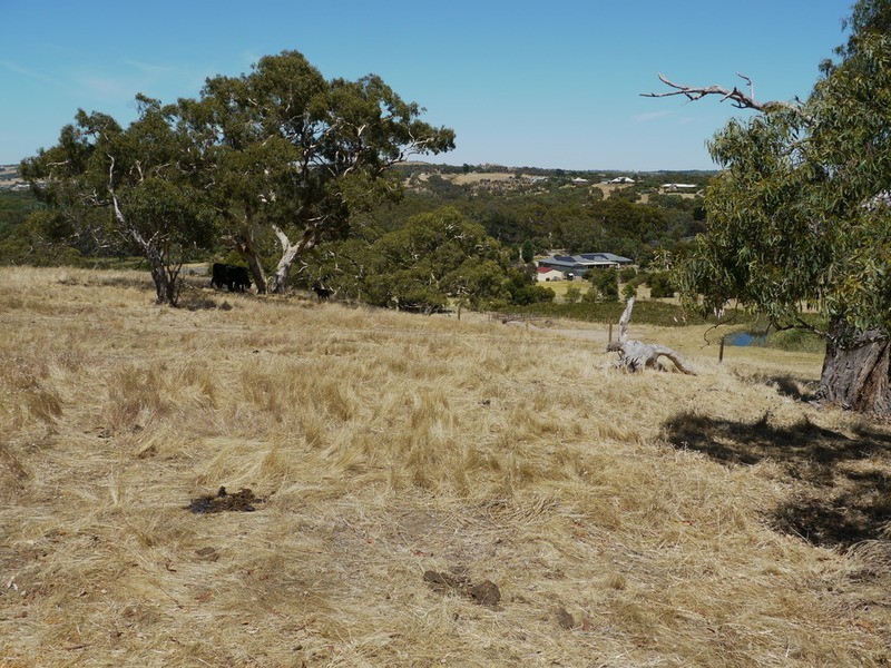 Lot 309 & 310 Henderson  Road, Victor Harbor SA 5211