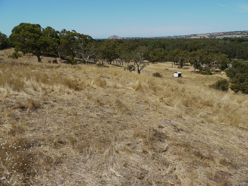 Lot 309 & 310 Henderson  Road, Victor Harbor SA 5211