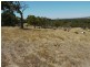 Lot 309 & 310 Henderson  Road, Victor Harbor SA 5211