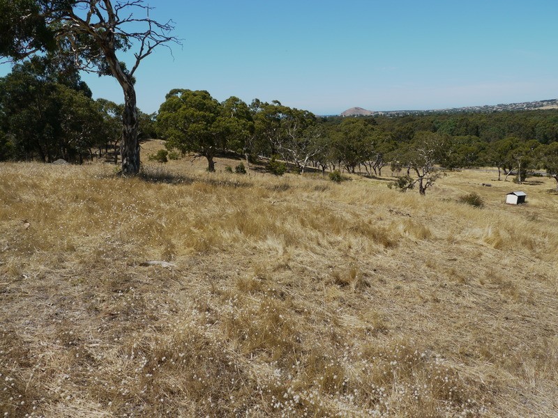 Lot 309 & 310 Henderson  Road, Victor Harbor SA 5211