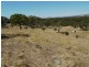 Lot 309 & 310 Henderson  Road, Victor Harbor SA 5211