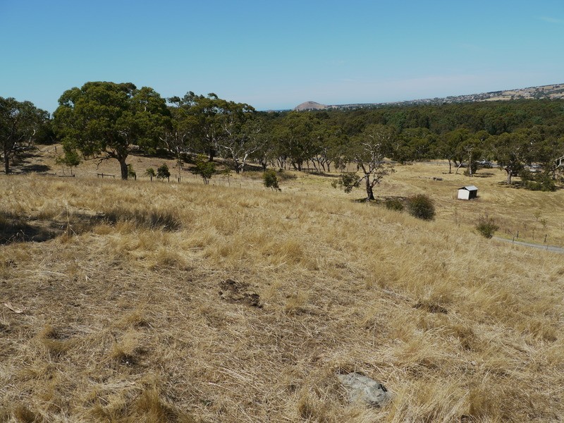 Lot 309 & 310 Henderson  Road, Victor Harbor SA 5211