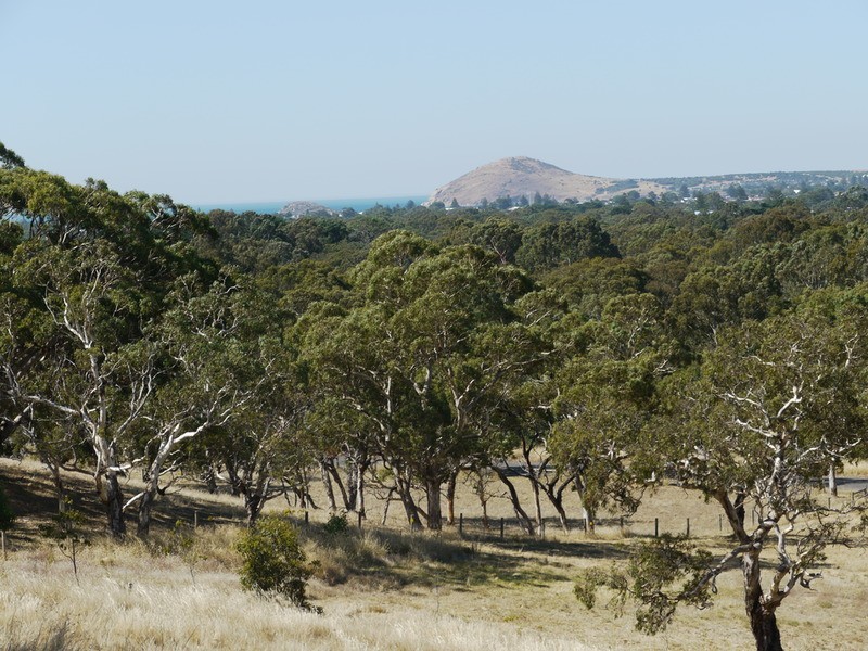 Lot 309 & 310 Henderson  Road, Victor Harbor SA 5211