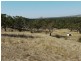 Lot 309 & 310 Henderson  Road, Victor Harbor SA 5211