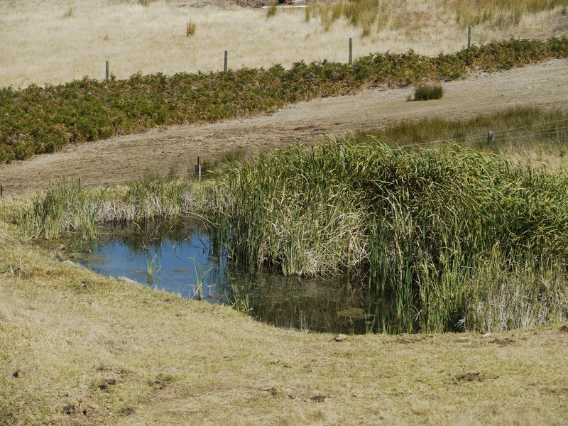 Lot 309 & 310 Henderson  Road, Victor Harbor SA 5211