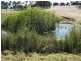 Lot 309 & 310 Henderson  Road, Victor Harbor SA 5211