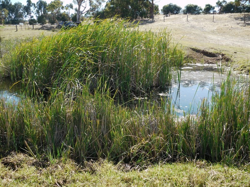 Lot 309 & 310 Henderson  Road, Victor Harbor SA 5211