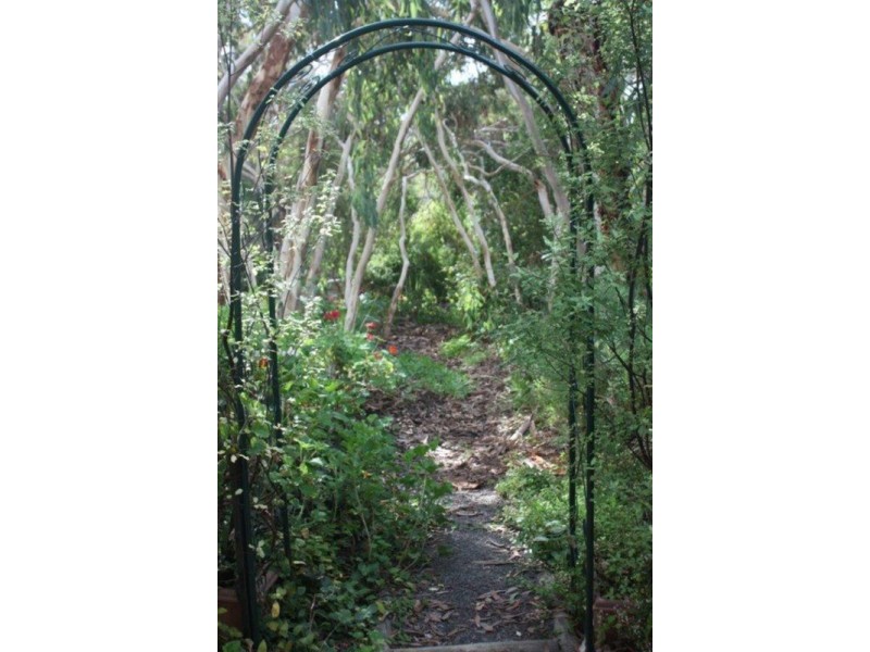 64 Warland Avenue, Victor Harbor SA 5211