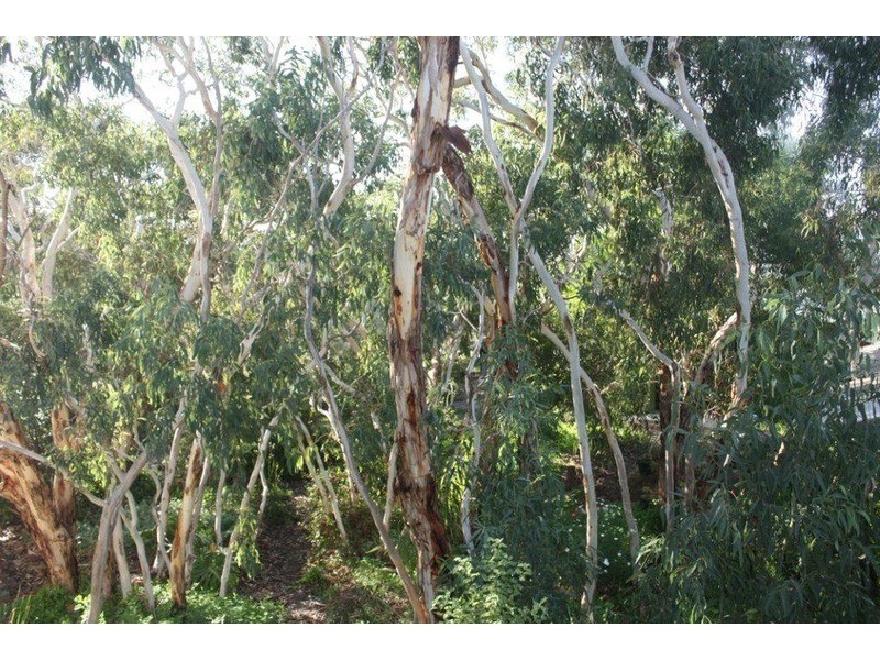 64 Warland Avenue, Victor Harbor SA 5211