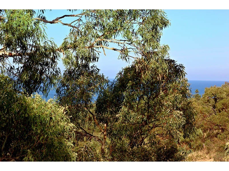 64 Warland Avenue, Victor Harbor SA 5211