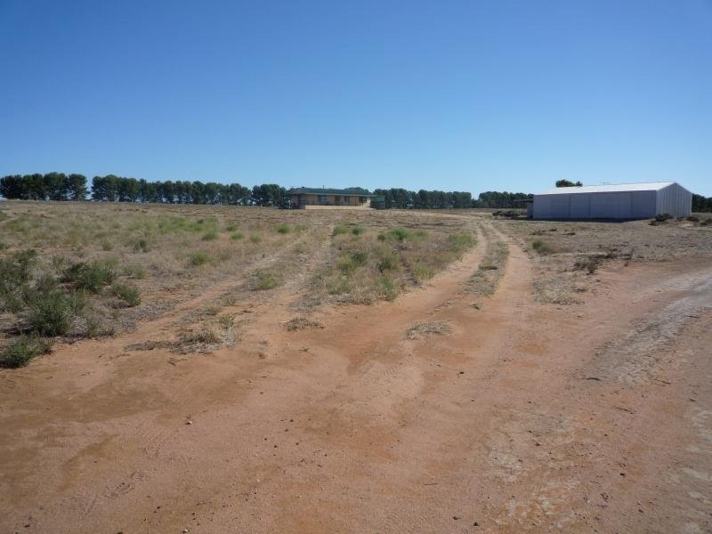 Lot 53 Bruce Road, Karoonda SA 5307