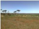 Sec 215 Cnr Sedan Road & Blanchetown Road, Sedan SA 5353