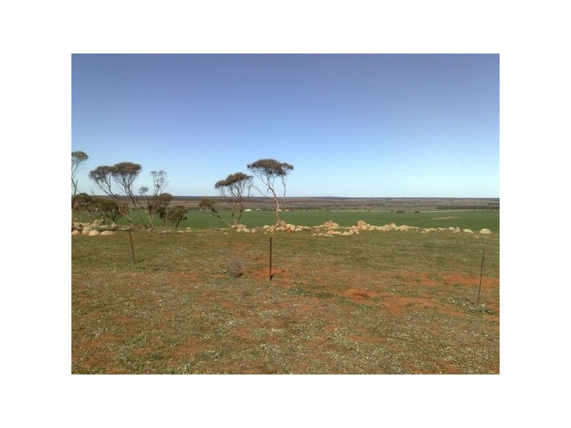 Sec 215 Cnr Sedan Road & Blanchetown Road, Sedan SA 5353