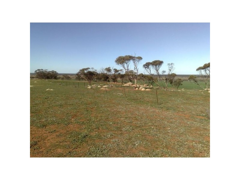Sec 215 Cnr Sedan Road & Blanchetown Road, Sedan SA 5353