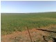Sec 215 Cnr Sedan Road & Blanchetown Road, Sedan SA 5353