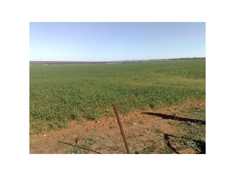 Sec 215 Cnr Sedan Road & Blanchetown Road, Sedan SA 5353