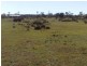 Sec 215 Cnr Sedan Road & Blanchetown Road, Sedan SA 5353