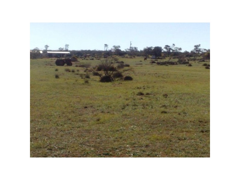 Sec 215 Cnr Sedan Road & Blanchetown Road, Sedan SA 5353