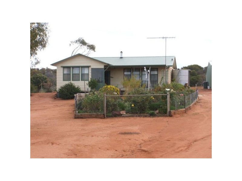 Sec 215 Cnr Sedan Road & Blanchetown Road, Sedan SA 5353