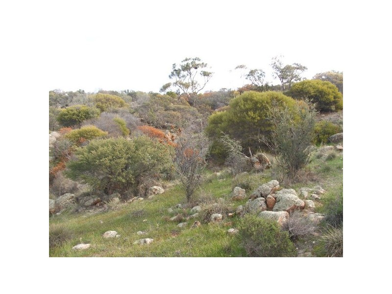 Sec 215 Cnr Sedan Road & Blanchetown Road, Sedan SA 5353
