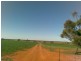 Sec 215 Cnr Sedan Road & Blanchetown Road, Sedan SA 5353