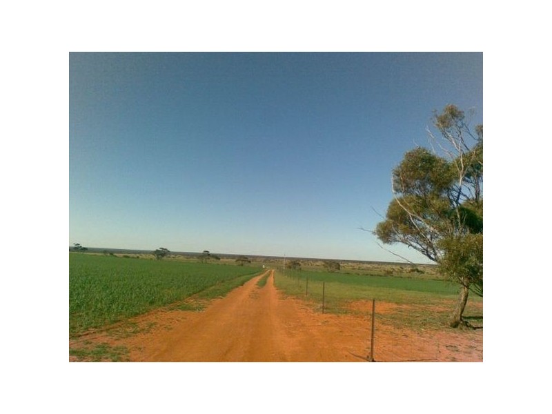 Sec 215 Cnr Sedan Road & Blanchetown Road, Sedan SA 5353