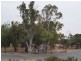 Lot 1 & 2 Jaensch Road, Murray Bridge SA 5253