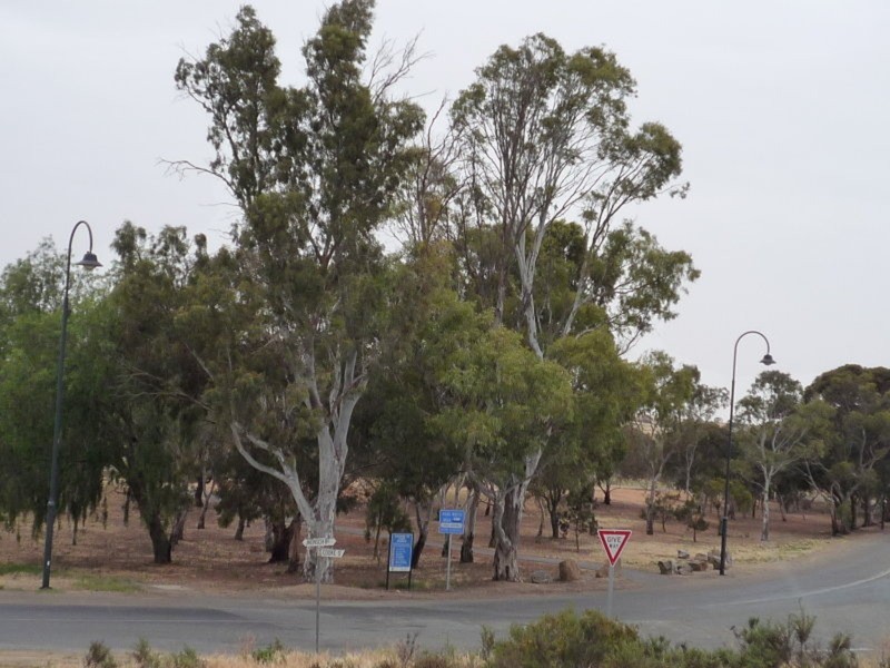 Lot 1 & 2 Jaensch Road, Murray Bridge SA 5253