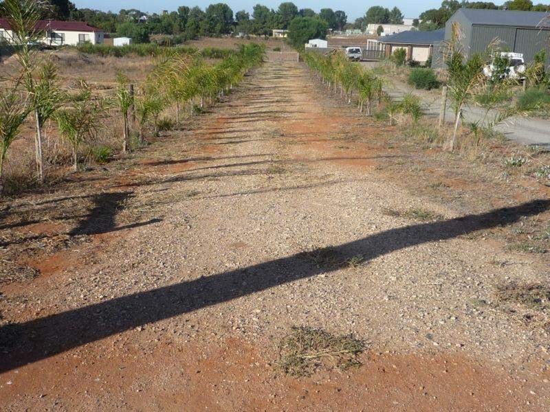Lot 3 Bungana Drive, Murray Bridge SA 5253
