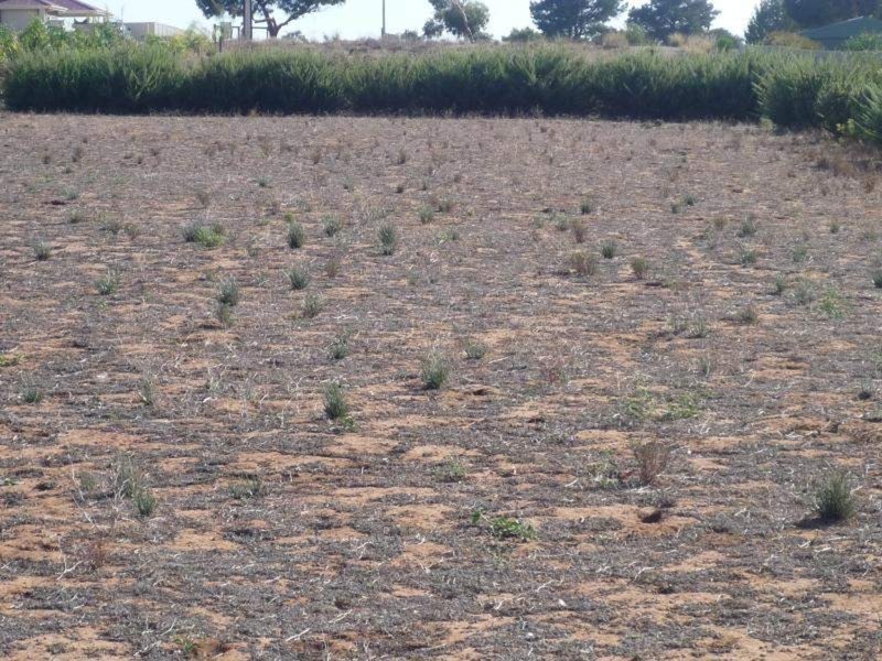 Lot 3 Bungana Drive, Murray Bridge SA 5253