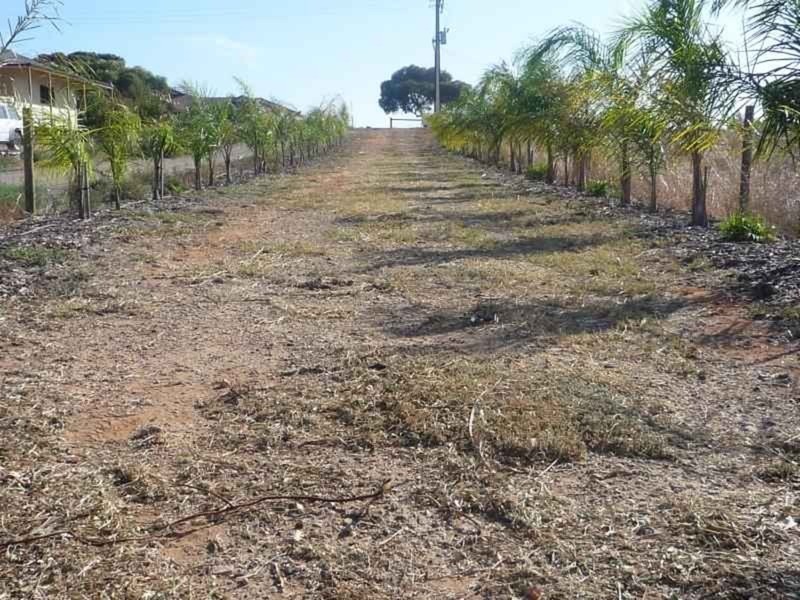 Lot 3 Bungana Drive, Murray Bridge SA 5253