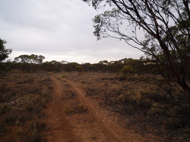 Black Hill SA 5353