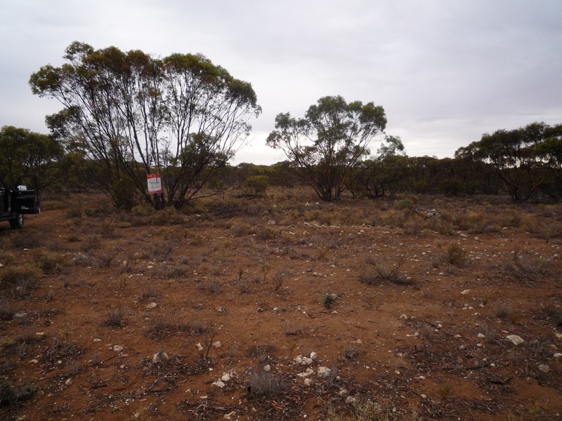 Black Hill SA 5353