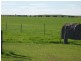 Lot 103 Pfeiffer Road, Murray Bridge South SA 5253