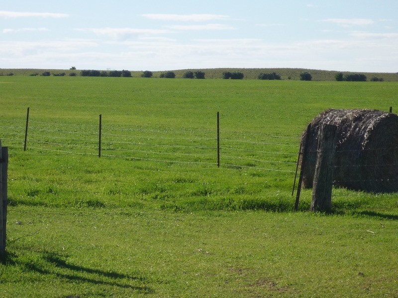 Lot 103 Pfeiffer Road, Murray Bridge South SA 5253