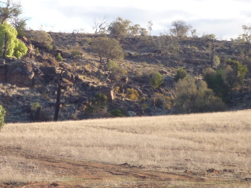 Lots 1,5,6,8 Law Road, Rockleigh SA 5254