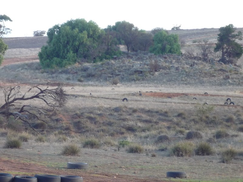 Lots 1,5,6,8 Law Road, Rockleigh SA 5254