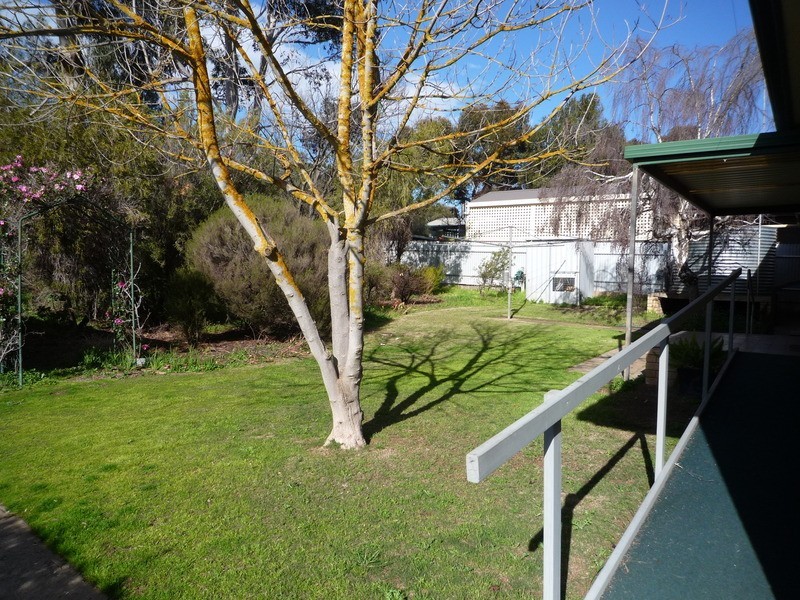 5 Elm Avenue, Murray Bridge SA 5253