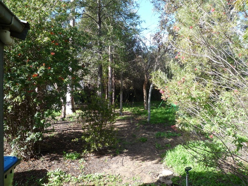 5 Elm Avenue, Murray Bridge SA 5253