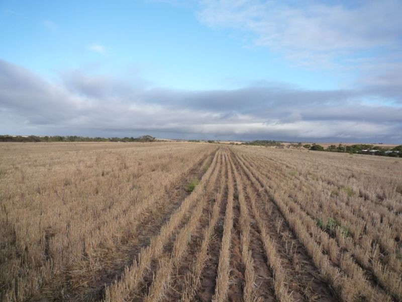 Sect 170 Hundred Of Seymour, Tailem Bend SA 5259