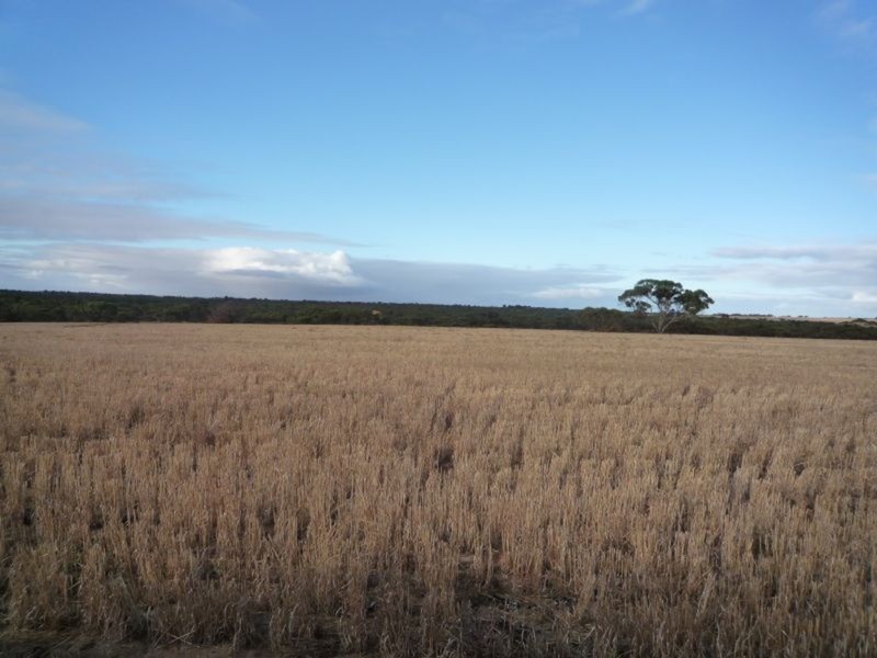 Sect 170 Hundred Of Seymour, Tailem Bend SA 5259
