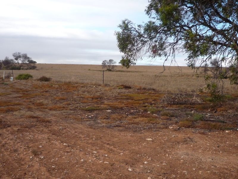 Sect 170 Hundred Of Seymour, Tailem Bend SA 5259